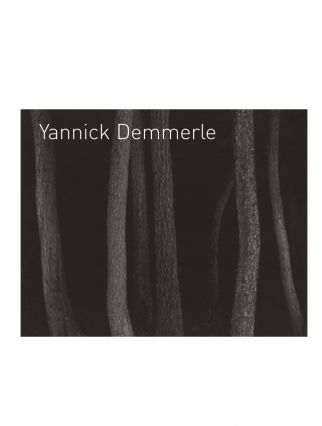 Publication: Yannick Demmerle, 2005 